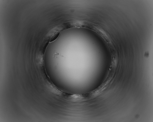 X0000102540477200808081526
