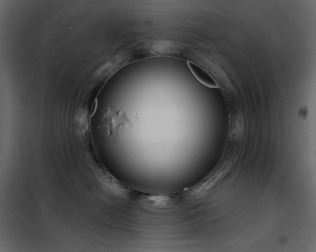 X0000102540478200808081526