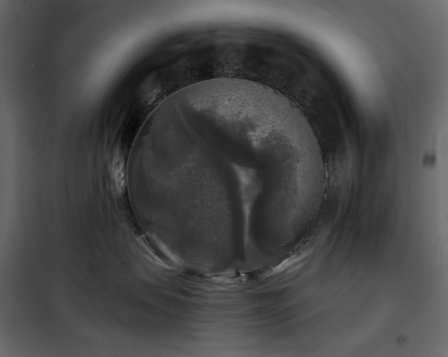 X0000102540479200808081526