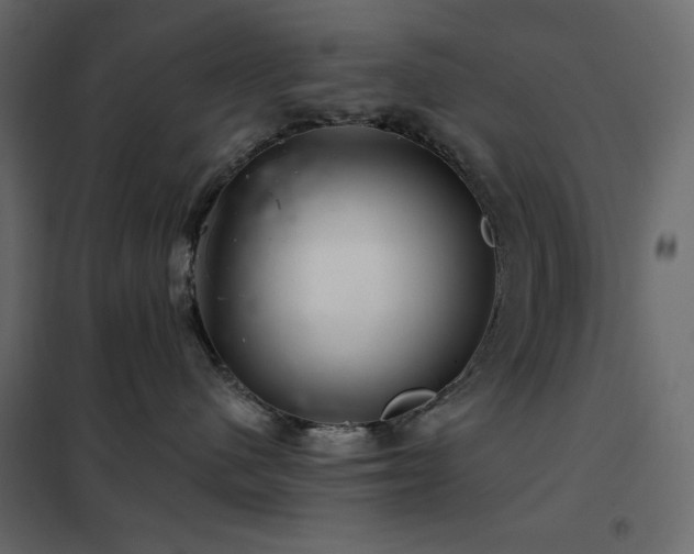 X0000102540480200808081526