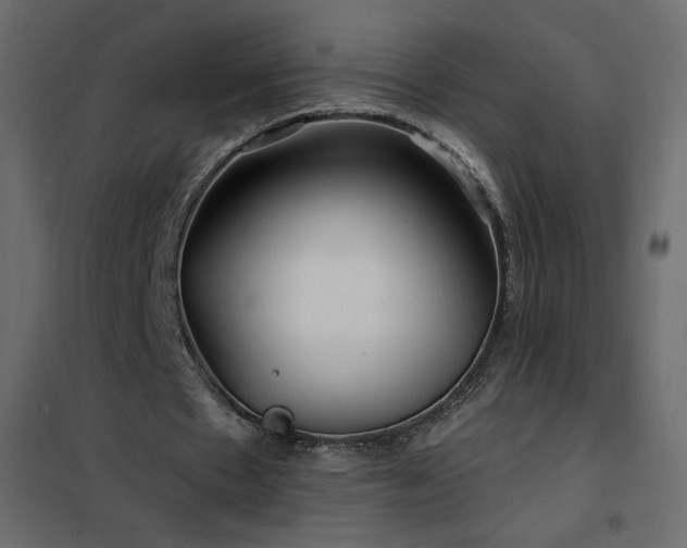 X0000102540481200808081525