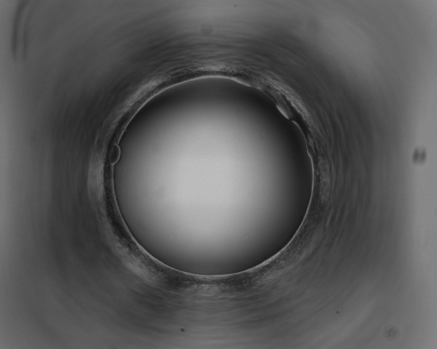 X0000102540482200808081525