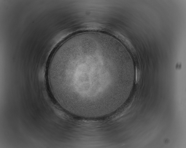 X0000102540483200808081525