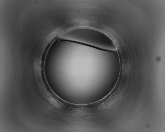X0000102540485200808081525
