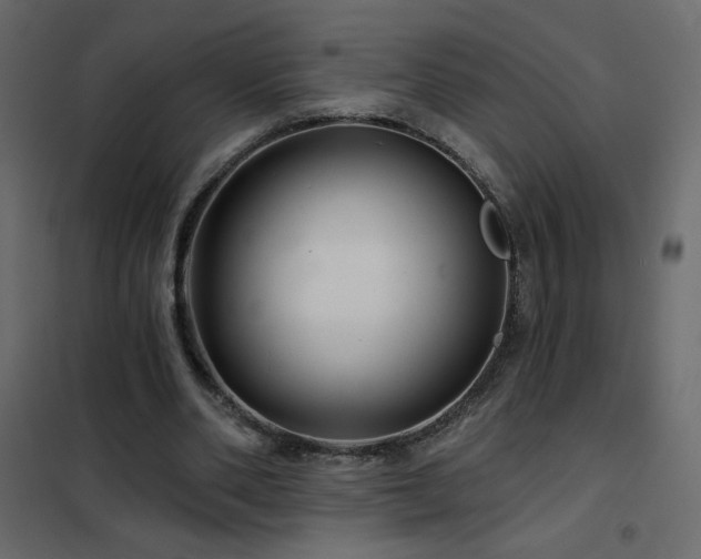 X0000102540486200808081525