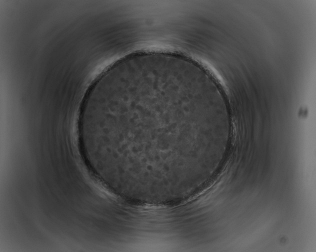 X0000102540487200808081525