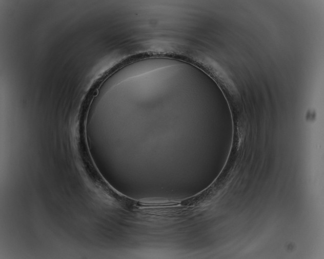 X0000102540488200808081525