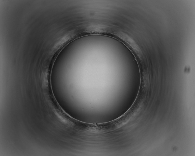 X0000102540489200808081525