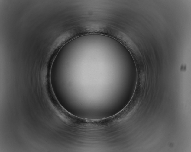 X0000102540490200808081525