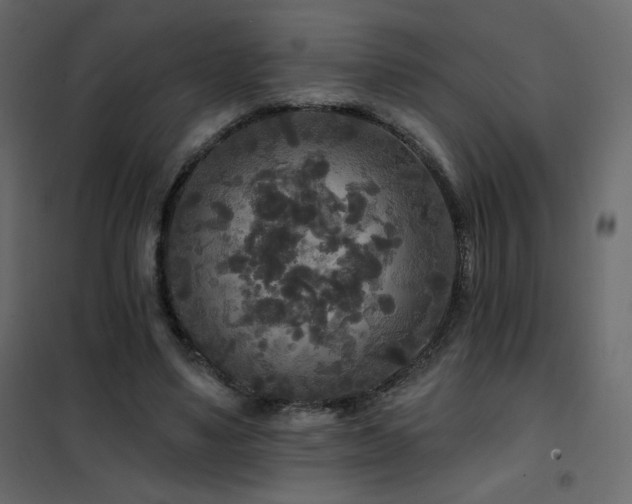 X0000102540491200808081525