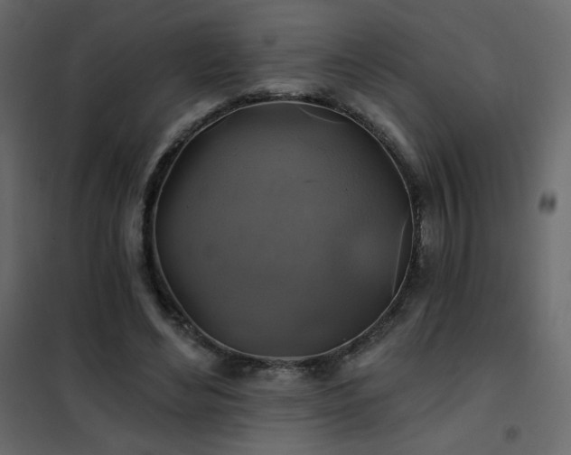 X0000102540492200808081525