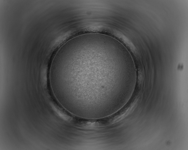 X0000102540493200808081525