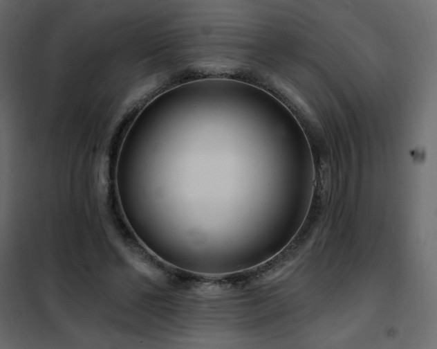 X0000102540494200808081525