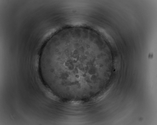 X0000102540495200808081525