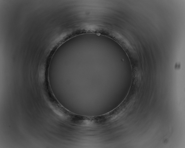 X0000102540496200808081525