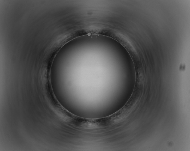 X0000102540498200808081525