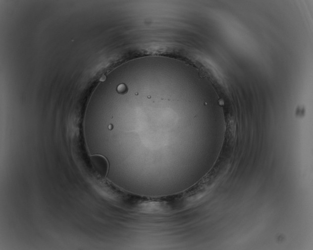 X0000102540499200808081525