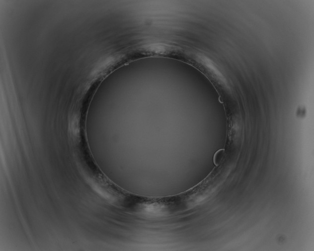 X0000102540500200808081525
