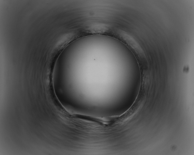 X0000102540501200808081525