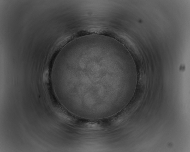 X0000102540502200808081525