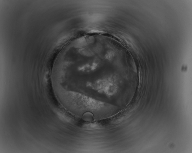 X0000102540503200808081525