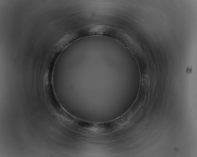 X0000102540504200808081525