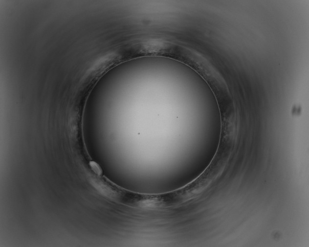 X0000102540505200808081525