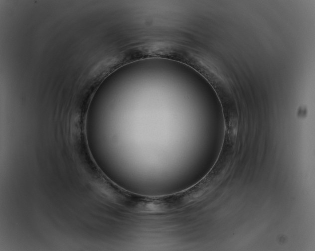 X0000102540506200808081525