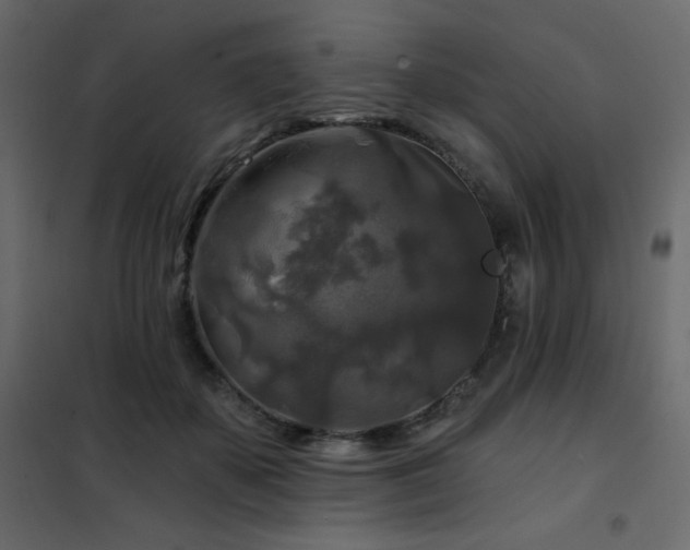 X0000102540507200808081525