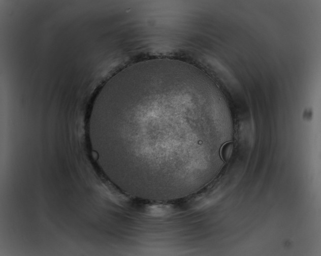 X0000102540508200808081525