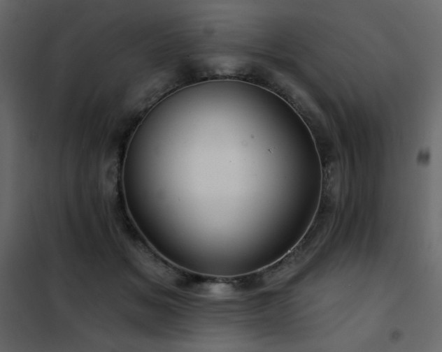 X0000102540509200808081525