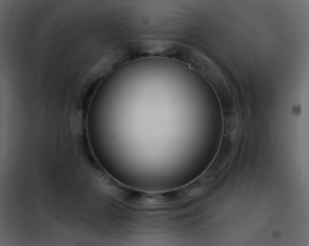 X0000102540510200808081525
