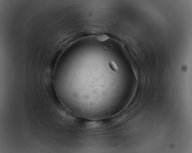 X0000102540511200808081525