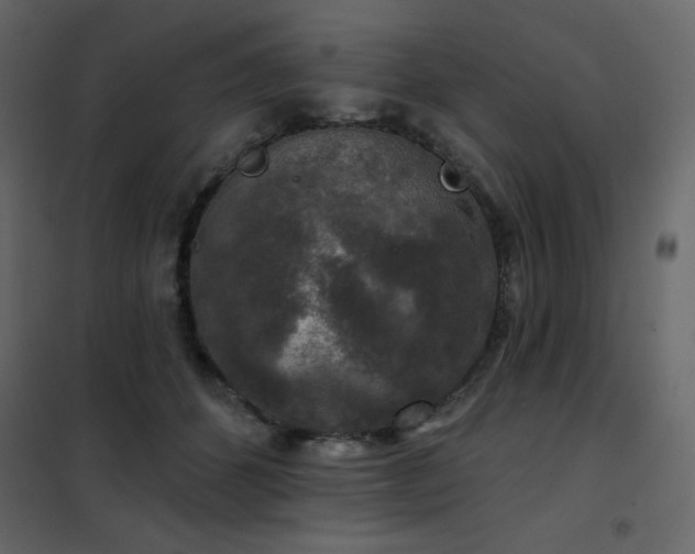 X0000102540512200808081525