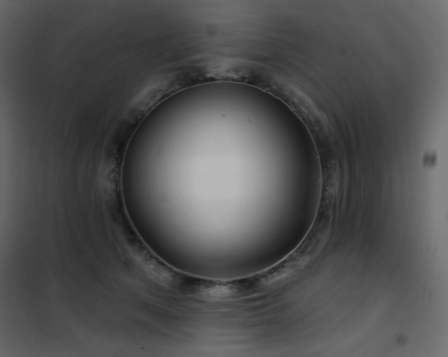 X0000102540513200808081525