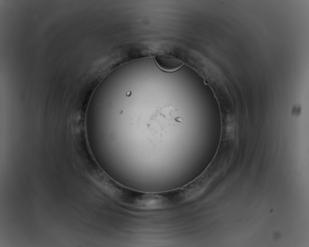 X0000102540514200808081525