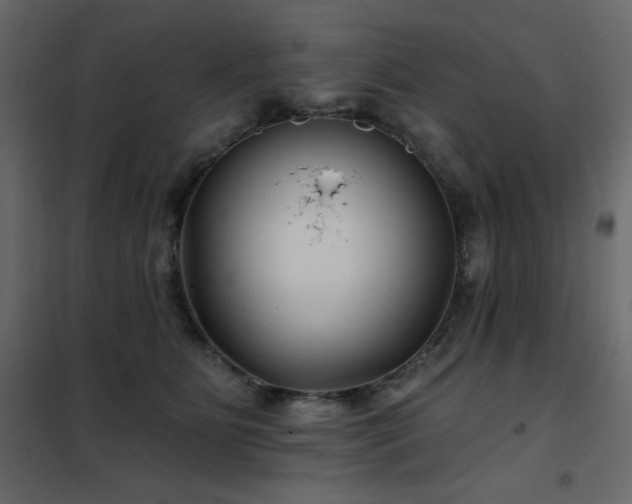 X0000102540515200808081525
