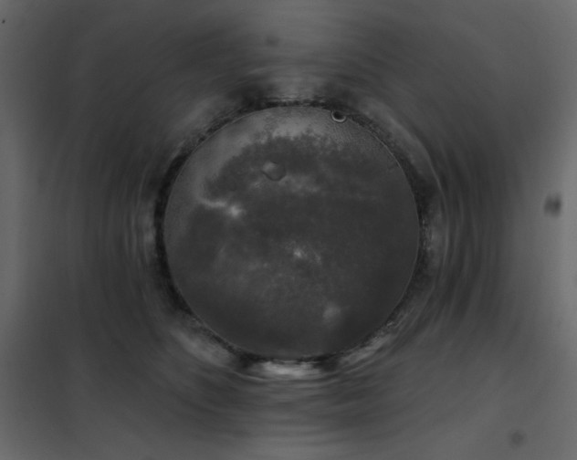 X0000102540516200808081525