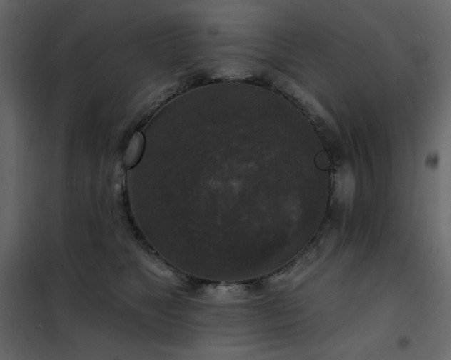 X0000102540517200808081525