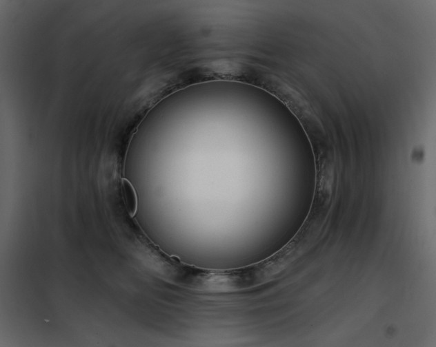 X0000102540518200808081525