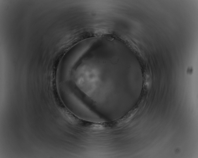 X0000102540519200808081524