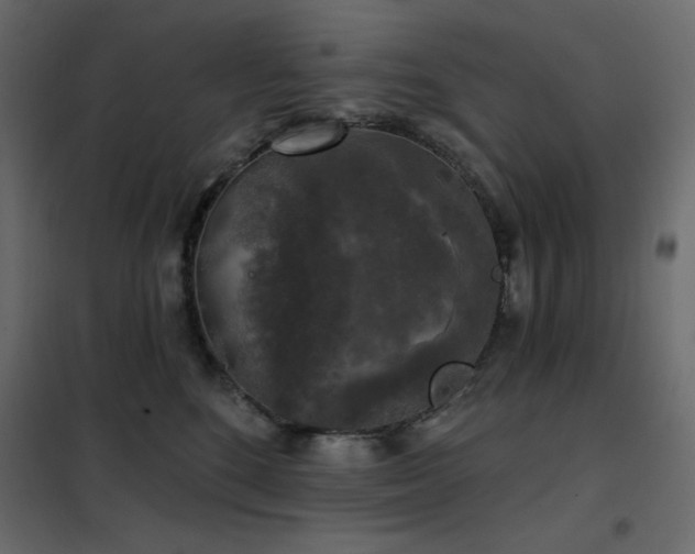 X0000102540520200808081524