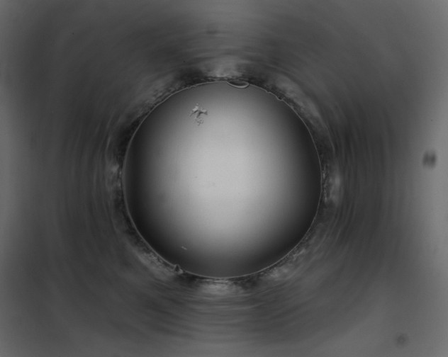 X0000102540521200808081524