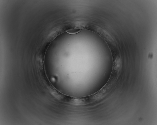 X0000102540522200808081524