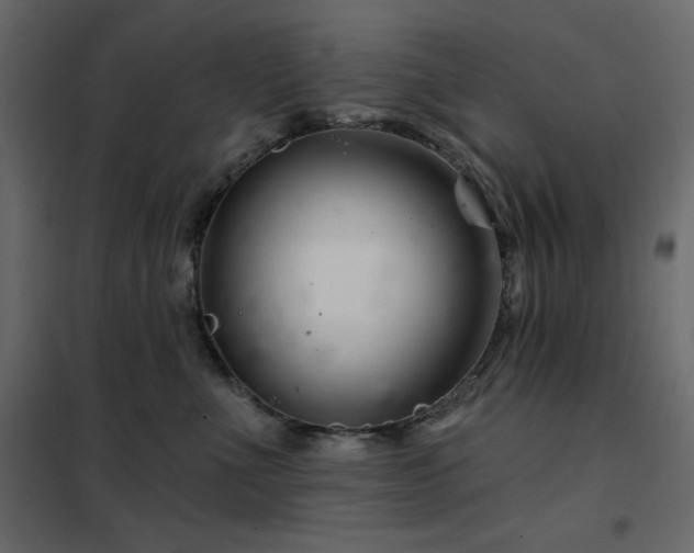 X0000102540523200808081524