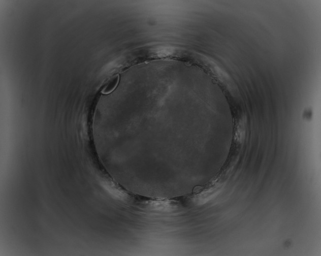 X0000102540524200808081524