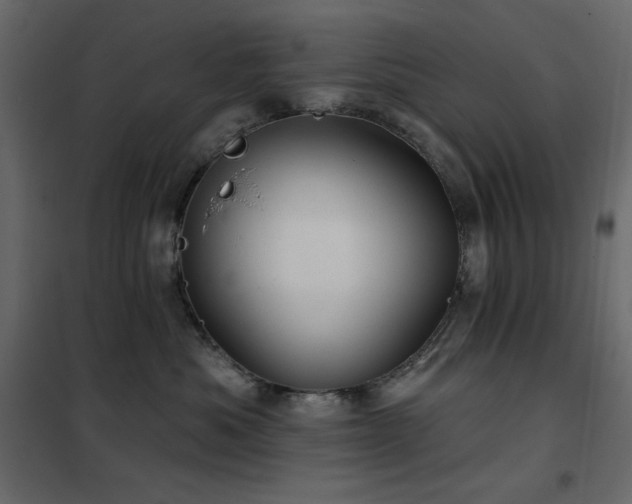 X0000102540525200808081524