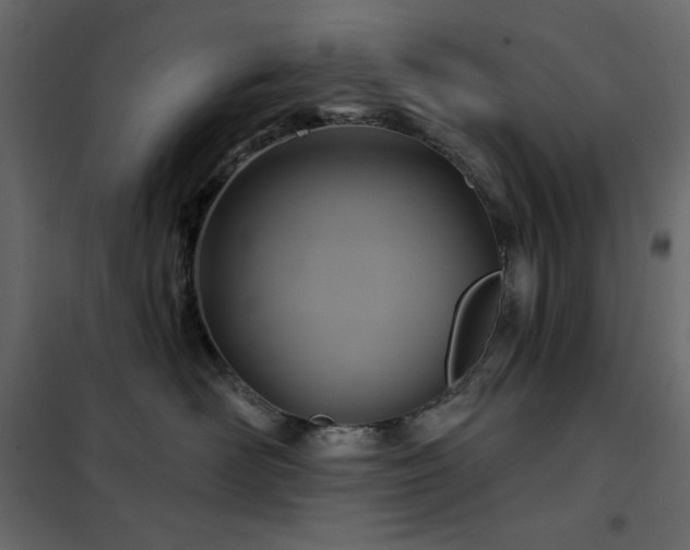 X0000102540526200808081524