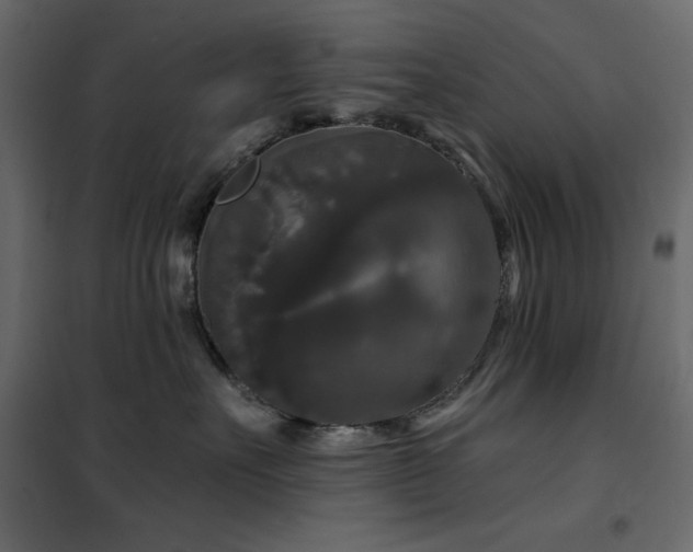X0000102540527200808081524