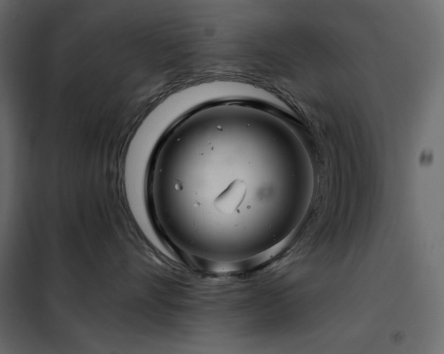X0000102540528200808081524